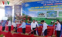 Начато строительство высокотехнологичного сельскохозяйственного комплекса Биньтхуан