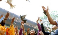 Во Вьетнаме отмечается 2561-я годовщина со Дня рождения Будды