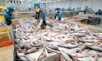 Рыбная отрасль СРВ всё ещё сталкивается с трудностями в увеличении экспорта в 2017 году