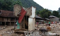 Выделено 600 млн донгов в помощь пострадавщим от стихийных бедствий в провинциях Йенбай и Шонла