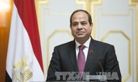 Президент Египта посетит Вьетнам с государственным визитом 6-7 сентября