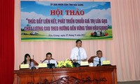 Активизация устойчивого развития цепочки добавленной стоимости высококачественного риса