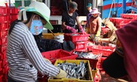 Нацсобрание Вьетнама обсудило законопроект об аквакультуре
