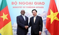 Вьетнам и Камерун активизируют двусторонние отношения