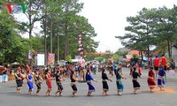 Состоялся уличный фестиваль культуры плато Тэйнгуен