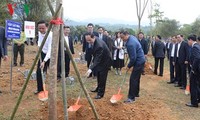 Президент Вьетнама Чан Дан Куанг развернул праздник посадки деревьев