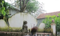 Деревня Дитьви и её традиция поклонения каменной собаке