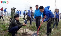 Во многих районах Вьетнама проводится праздник посадки деревьев в знак защиты лесов