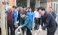 Канцелярия парламента Вьетнама получила и посадила баухинию