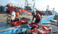 Вьетнам выполнил 9 рекомендаций ЕК по ответственному и устойчивому развитию рыболовства