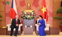 Главы парламента и правительства Вьетнама приняли вице-спикера палаты депутатов Чехии