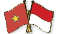 Дальнейшее расширение сотрудничества между Вьетнамом и Индонезией