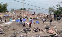 В Индонезии в результате землетрясения и цунами погибли 30 человек