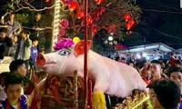 Обряд шествия с «господином Свинья» в деревне Лафу