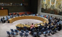 Совбез ООН провел экстренное заседание, связанное  с Голанами