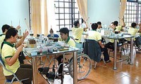 Вьетнам ратифицировал Конвенцию МОТ о профессиональной реабилитации и занятости инвалидов