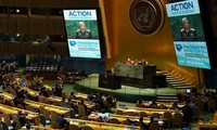 Вьетнам вновь подтвердил своё обязательство по активному участию в миротворческой деятельности ООН