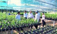 Семейное хозяйство способствует развитию приграничных сёл провинции Лайтяу