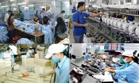 Вьетнам повышает важную роль частного сектора экономики в развитии страны