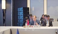 Вьетнам принял участие в совещаниях СДЛ стран АСЕАН+3 и Восточной Азии