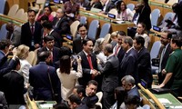Вьетнам прилагает усилия для определения конкретных задач на посту члена СБ ООН
