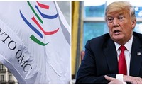 США и ВТО: непреодоленные разногласия