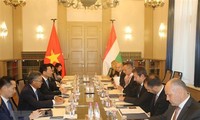 Вьетнам и Венгрия активизируют сотрудничество в области технологий, информации и коммуникаций