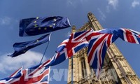 Великобритания стремится заключить соглашения о торговле на фоне Brexit
