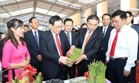Вьетнам строит новую деревню в сочетании с реструктуризацией сельского хозяйства