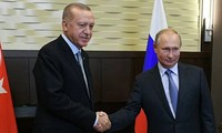 Президенты России и Турции обсудили по телефону ситуацию в Сирии