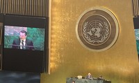 Вьетнам принял участие в заседании 74-й ГА ООН по мировому океану и морскому праву