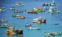 Различные меры по развитию морского рыболовства Вьетнама