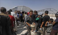 ЕС увеличит гуманитарную помощь Сирии на 170 млн. евро