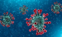 Во Вьетнаме 52 суток подряд не выявлены новые случаи заражения коронавирусом внутри страны