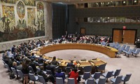 Совбез ООН принял резолюцию о продлении трансграничной помощи Сирии