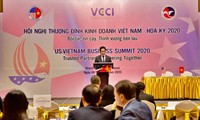 Вьетнамо-американский деловой саммит «Надёжный партнёр, устойчивое процветание»