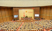Национальное собрание Вьетнама обсуждает два законопроекта