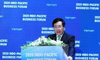 На Индо-Тихоокеанском бизнес-форуме 2020 подписан ряд важных соглашений