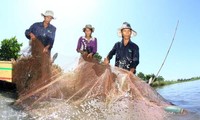 Dông Thap: les crues, enfin! 