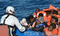 Migrants : sept morts et une centaine de disparus en Méditerranée 