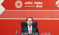 Tran Dai Quang à la clôture du 24ème sommet de l’APEC 