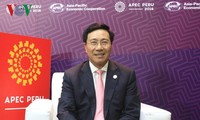 L’APEC croit dans l’année de l’APEC 2017 au Vietnam