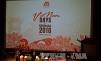 Célébration du 45ème anniversaire de la relation diplomatique Vietnam-Danemark