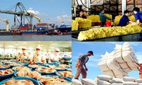 Les exportations du Vietnam en 2016