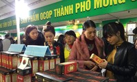 Activités à l’occasion du Tet à Quang Ninh et Long An