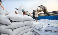 Le Vietnam continue de vendre 1,5 million de tonnes de riz par an aux Philippines