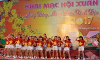 Les activités du Nouvel an lunaire battent leur plein au Vietnam