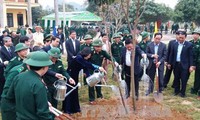 Dang Thi Ngoc Thinh à la fête de plantation d’arbres à Hoa Binh
