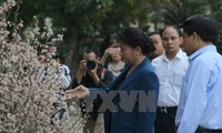Nguyên Thi Kim Ngân à l’exposition des fleurs de cerisiers à Hanoï
