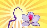 La fête bouddhique de la fleur de bauhinie 2017